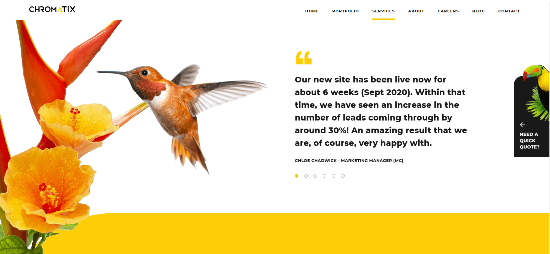 Chromatix web page showing orange hummingbird and an orange flower.